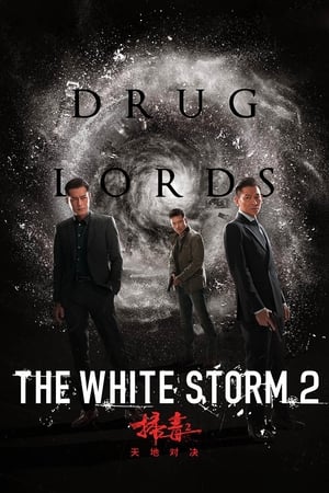 The White Storm 2: Drug Lords (2019) Hindi (Org) [950MB] HD Poster Download - Filmyzilla