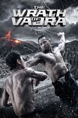 The Wrath of Vajra (2013) Hindi Dual Audio 350MB HD Poster Download - Filmyzilla