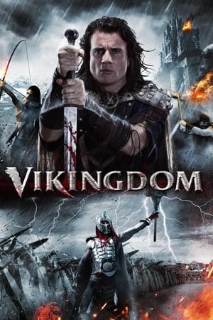 Vikingdom 2013 Hindi Dual Audio [1GB] HD Poster Download - Filmyzilla