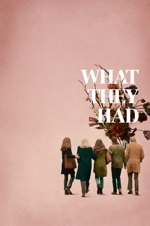 What They Had (2018) Hindi Dual Audio 350MB HD Poster Download - Filmyzilla